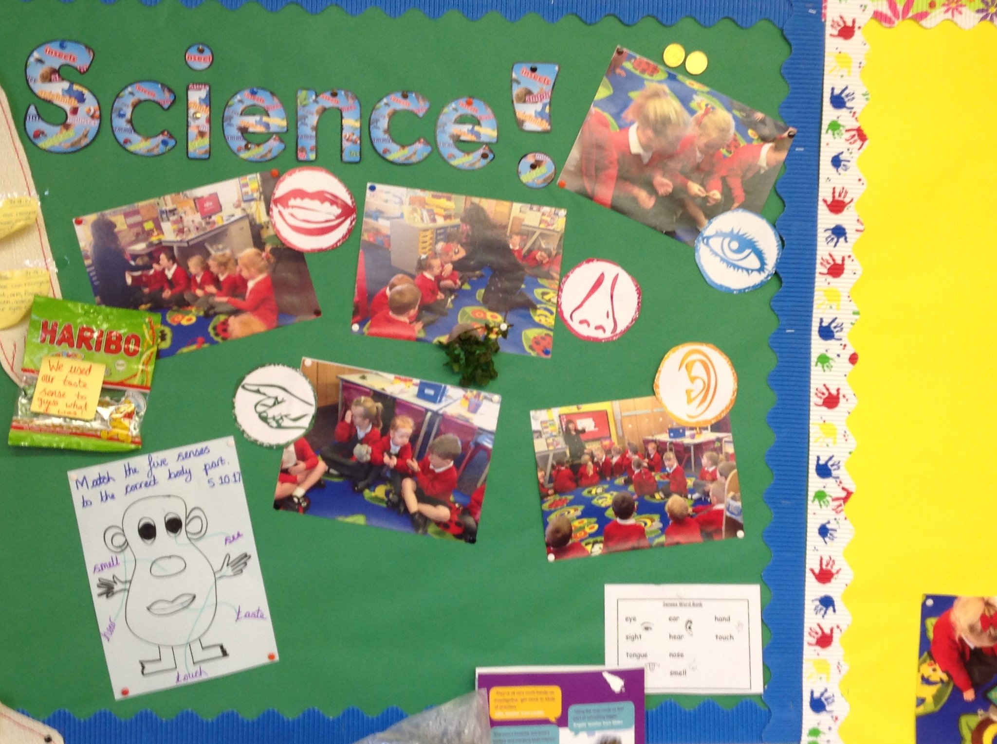 Image of Using our senses!